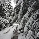 Alte Schule App Daire St. Vith