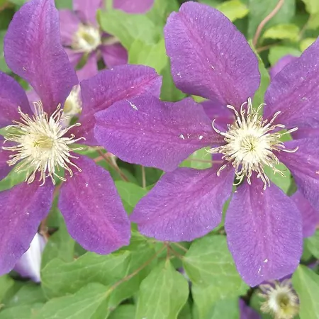 Alte Schule App Apartment *