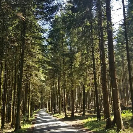 Alte Schule App St. Vith