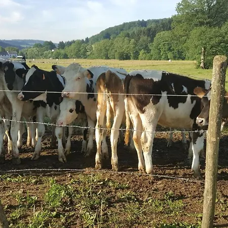 Alte Schule App Apartment