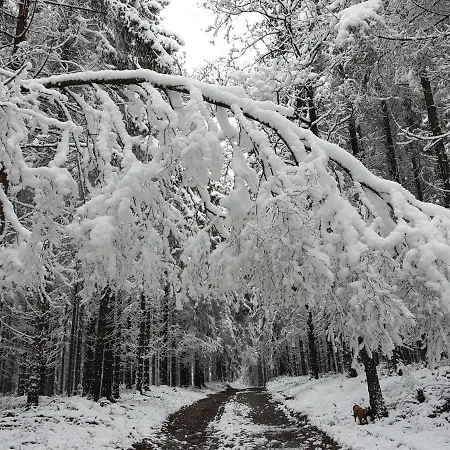 Lejlighed Alte Schule App *