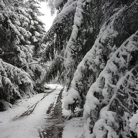 Alte Schule App Lejlighed St. Vith