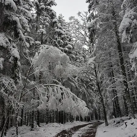 Alte Schule App Lejlighed