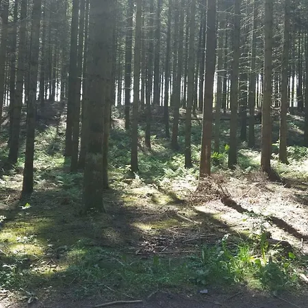 Alte Schule App * St. Vith