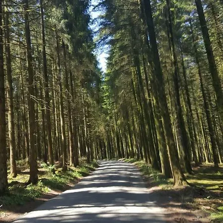 Apartamento Alte Schule App *